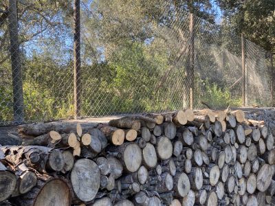 Landscaping and finca maintenance