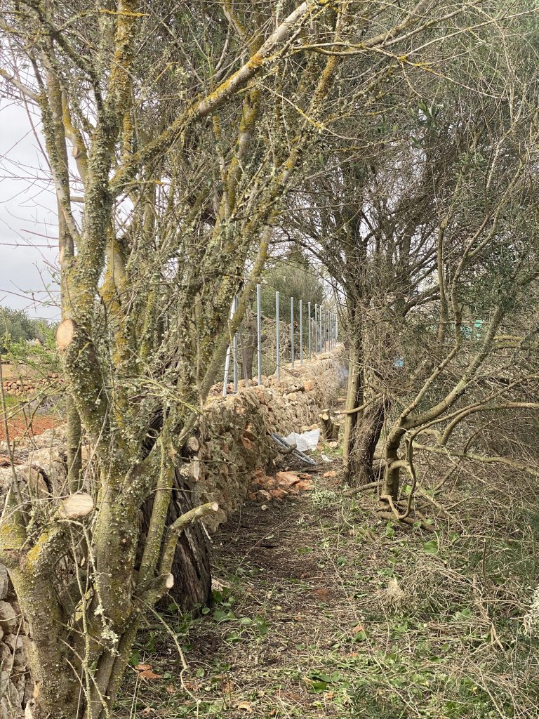 Landscaping and finca maintenance