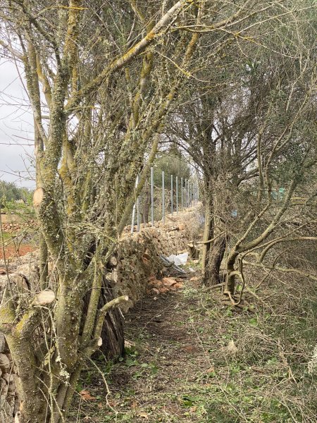 Landscaping and finca maintenance