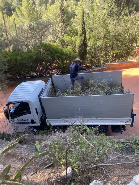 Landscaping and finca maintenance