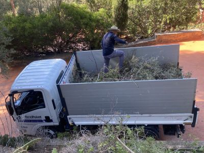 Landscaping and finca maintenance