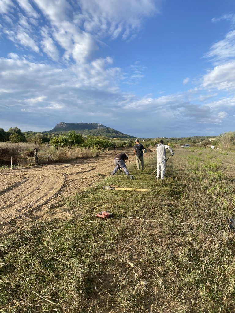 Landscaping and finca maintenance