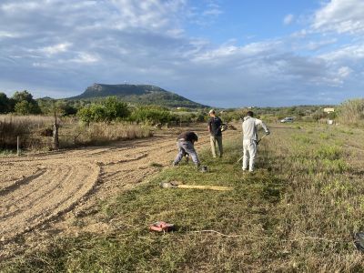 Landscaping and finca maintenance