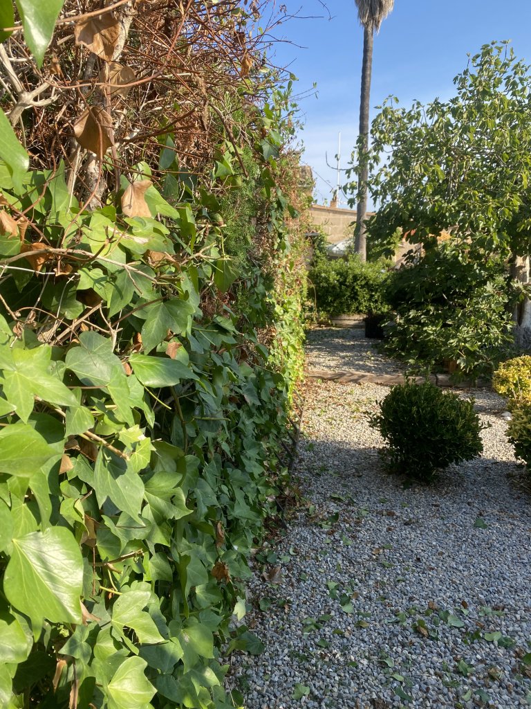Landscaping and finca maintenance