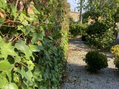 Landscaping and finca maintenance