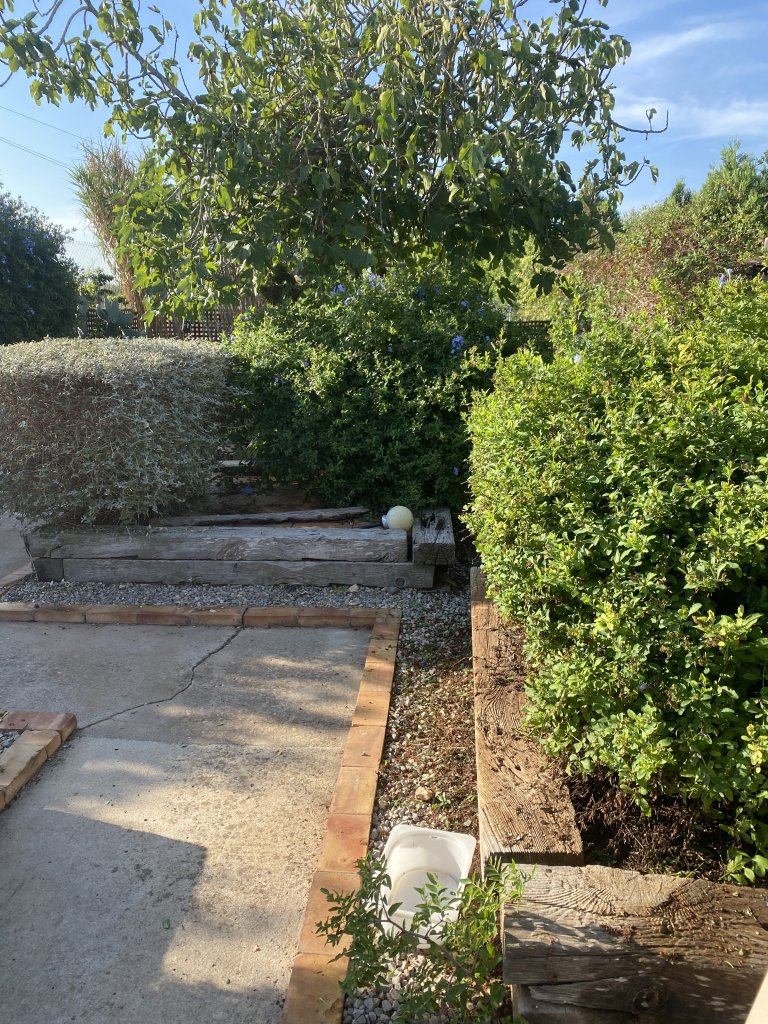 Landscaping and finca maintenance