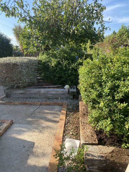 Landscaping and finca maintenance