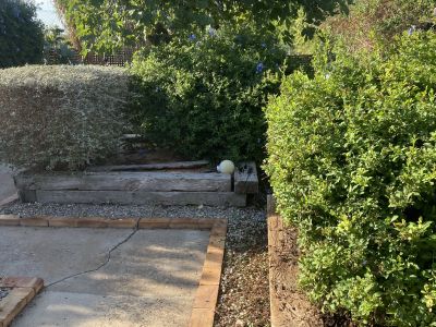 Landscaping and finca maintenance