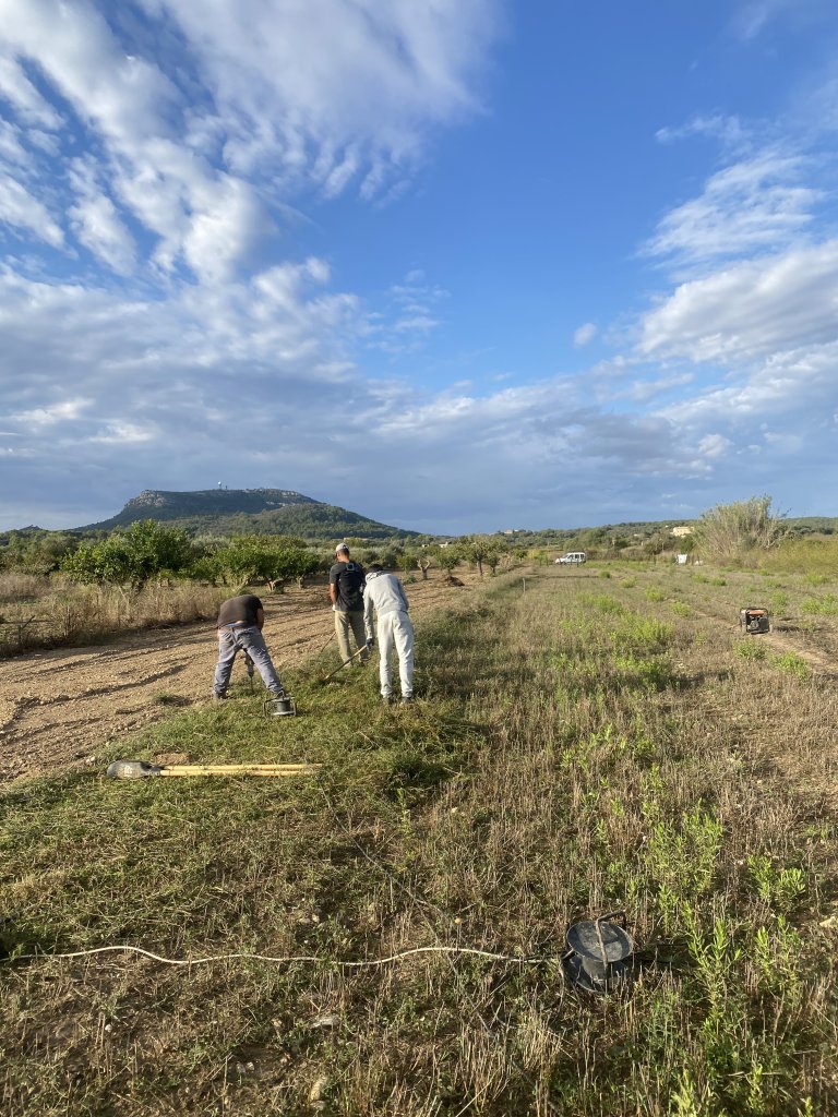 Landscaping and finca maintenance