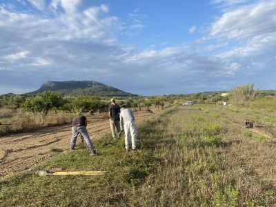 Landscaping and finca maintenance