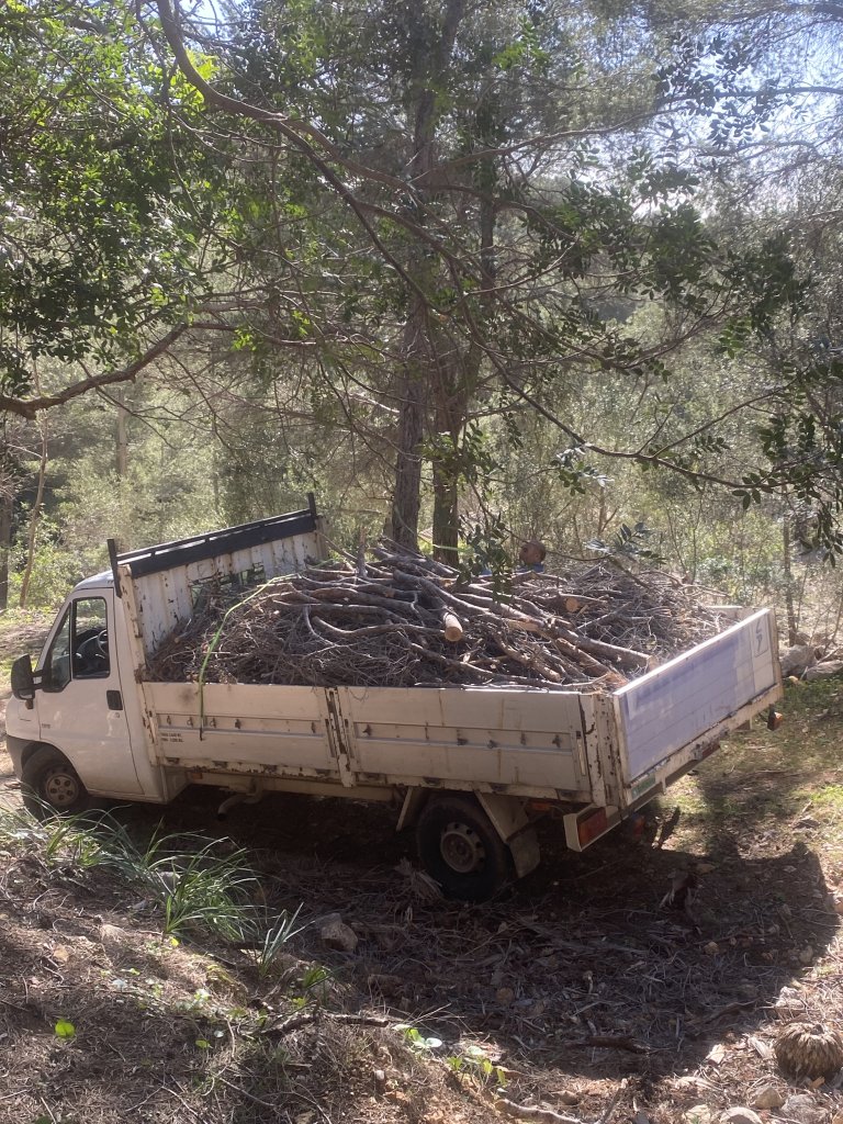 Landscaping and finca maintenance