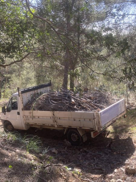 Landscaping and finca maintenance