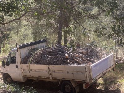 Landscaping and finca maintenance