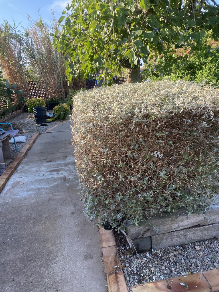 Landscaping and finca maintenance