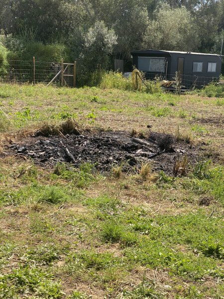 Landscaping and finca maintenance