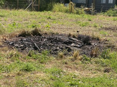 Landscaping and finca maintenance
