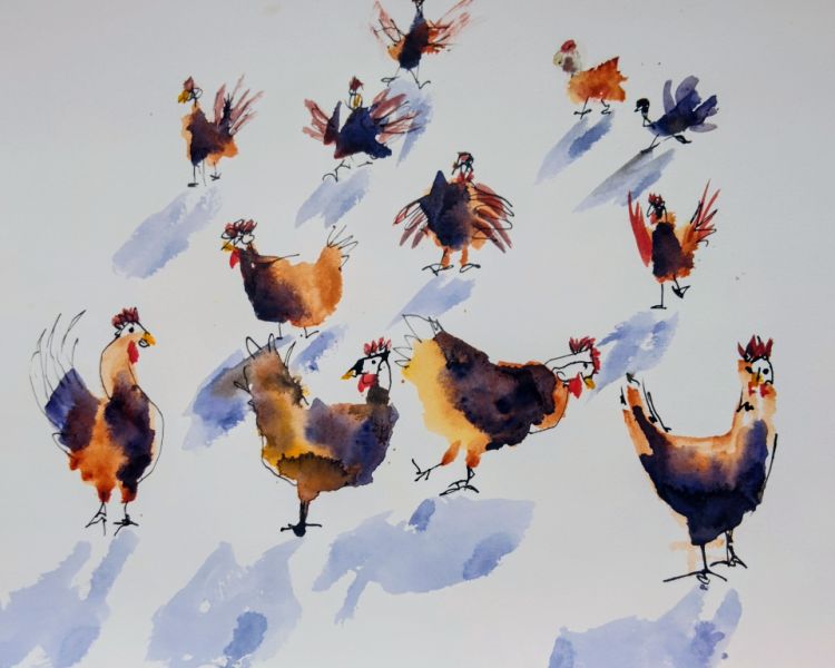 Gruppe von Hühnern in Aquarell auf Papier