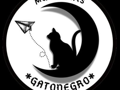 Günstige Umzüge und Transporte auf das Festland und nach Mallorca