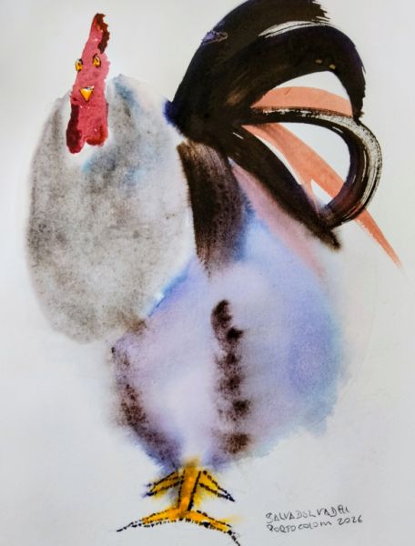 Rooster in watercolor