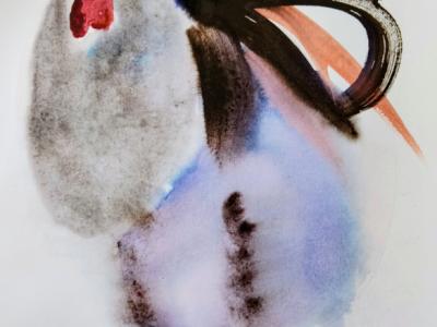Rooster in watercolor
