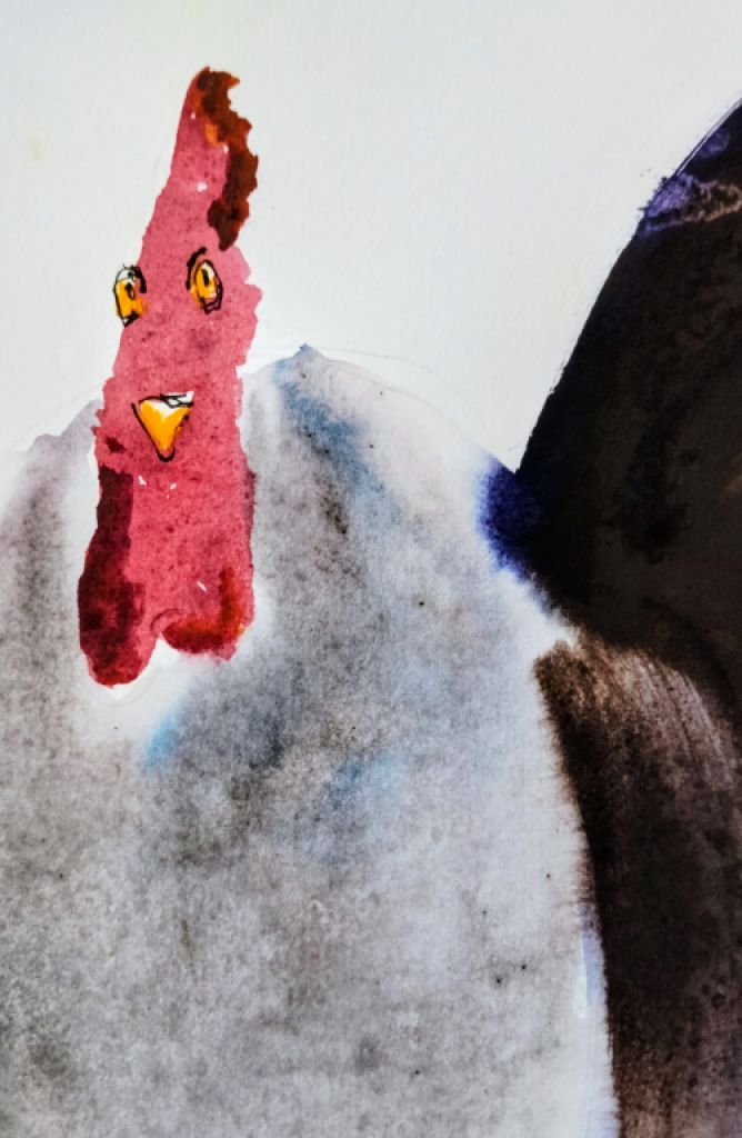 Rooster in watercolor