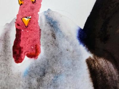 Rooster in watercolor