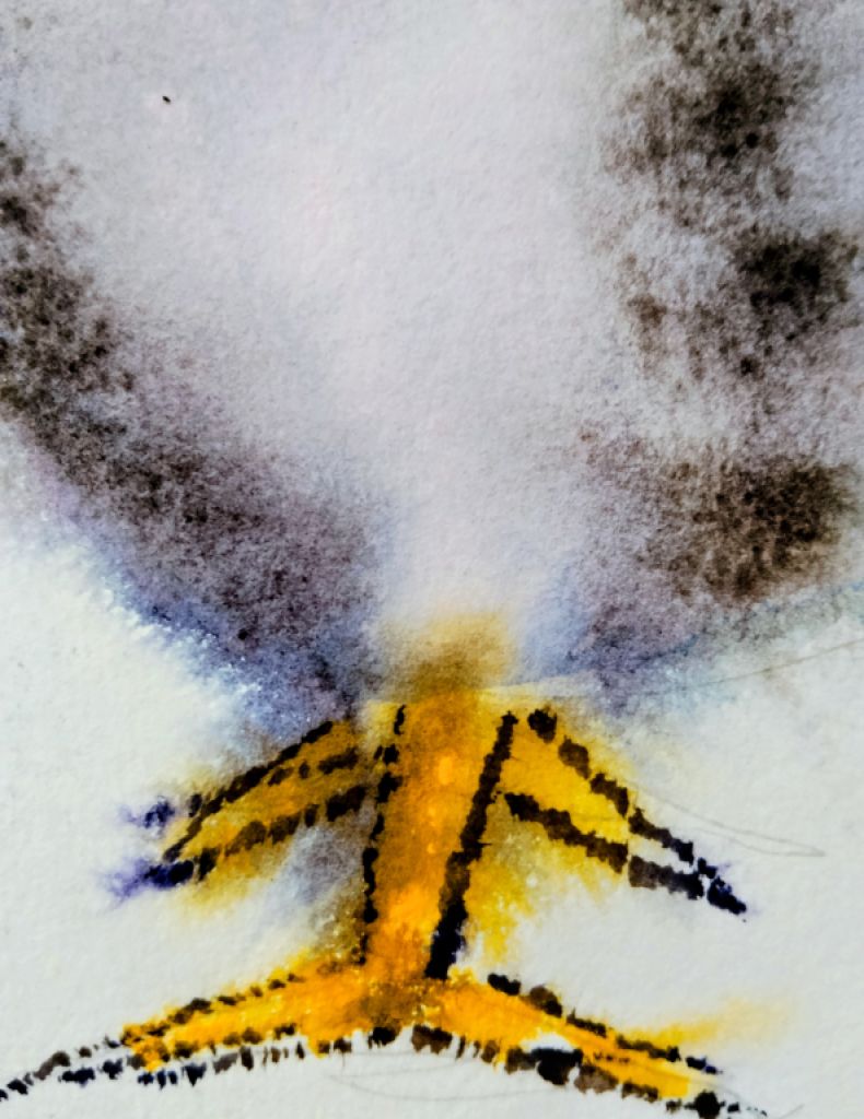 Rooster in watercolor