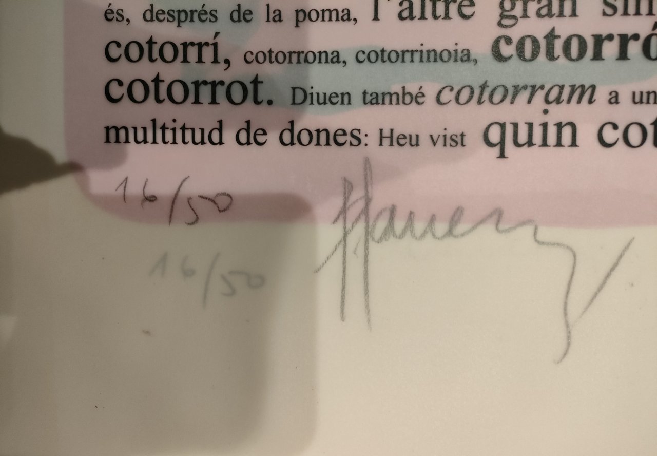 Handsigniert Kunstdruck-Mappe L'ESPLENDOR DEL DESIG Lithographien Aktzeichnungen von JOAN BENNÀSSAR