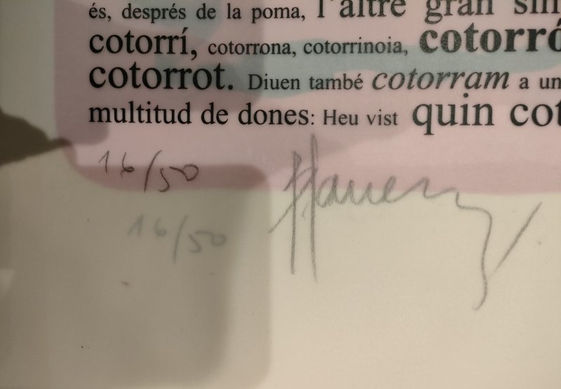 Handsigniert Kunstdruck-Mappe L'ESPLENDOR DEL DESIG Lithographien Aktzeichnungen von JOAN BENNÀSSAR