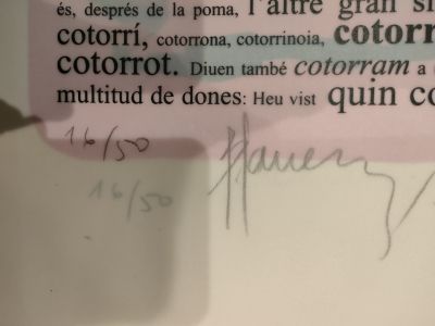 Handsigniert Kunstdruck-Mappe L'ESPLENDOR DEL DESIG Lithographien Aktzeichnungen von JOAN BENNÀSSAR
