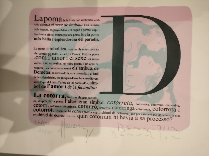 Handsigniert Kunstdruck-Mappe L'ESPLENDOR DEL DESIG Lithographien Aktzeichnungen von JOAN BENNÀSSAR