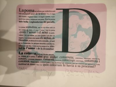 Handsigniert Kunstdruck-Mappe L'ESPLENDOR DEL DESIG Lithographien Aktzeichnungen von JOAN BENNÀSSAR