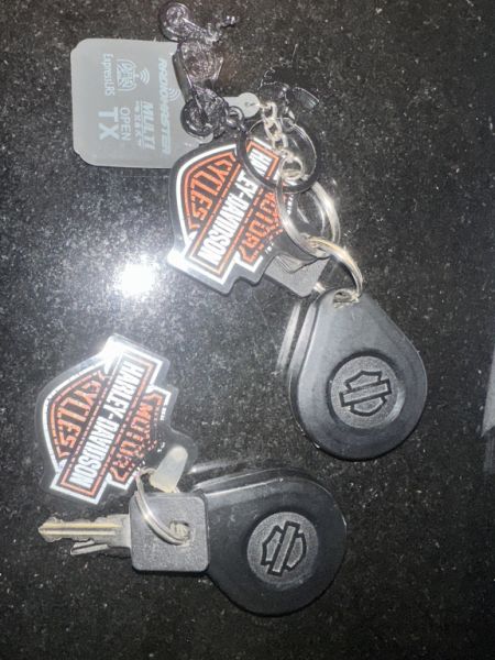 Harley Davidson forty eight