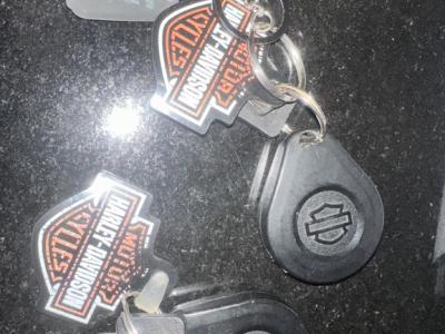 Harley Davidson forty eight