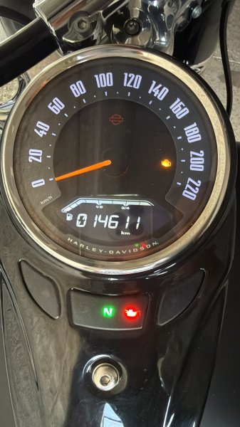 Harley Davidson Softtail Slim