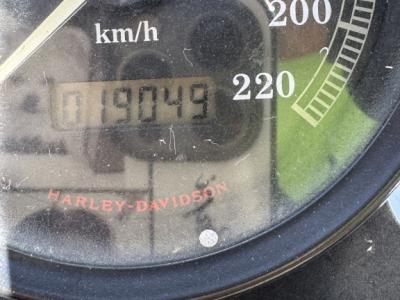 Harley Davidson XL 883 Sportster