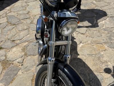 Harley Davidson XL 883 Sportster