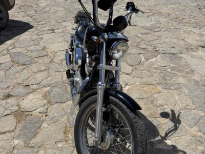 Harley Davidson XL 883 Sportster