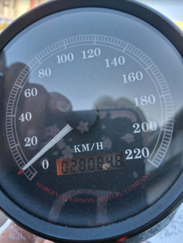Harley Davidson XLH 883