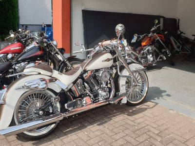 HARLY - DAVIDSON