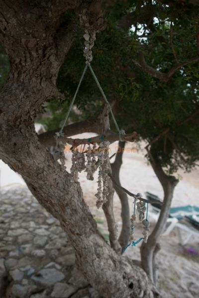 Casa a pie de playa en Cala Bona