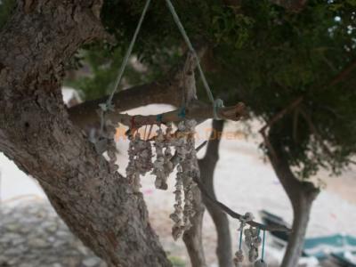 Casa a pie de playa en Cala Bona