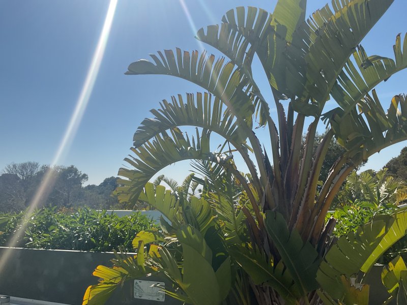 House with Exclusive View of the Bay of Palma de Mallorca
