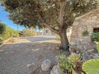 Casa o chalet independiente en venta en Cala Llombards. Ref. Baes-1038