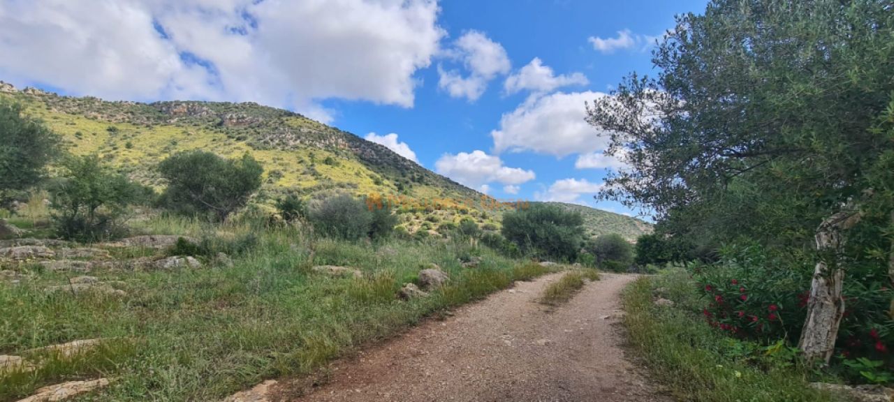 Haus zum Verkauf in einer sehr ruhigen Gegend 4 km von Sant Llorenç entfernt