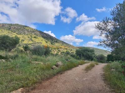 Haus zum Verkauf in einer sehr ruhigen Gegend 4 km von Sant Llorenç entfernt