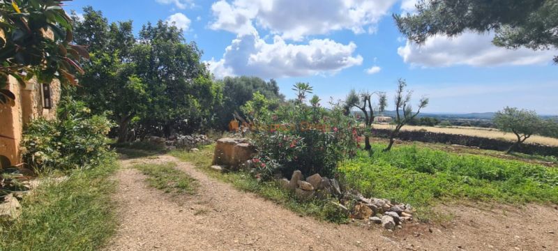 Haus zum Verkauf in einer sehr ruhigen Gegend 4 km von Sant Llorenç entfernt