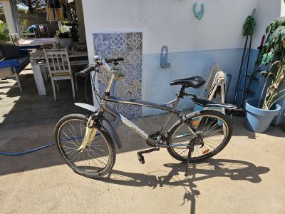 Men's mountain bike