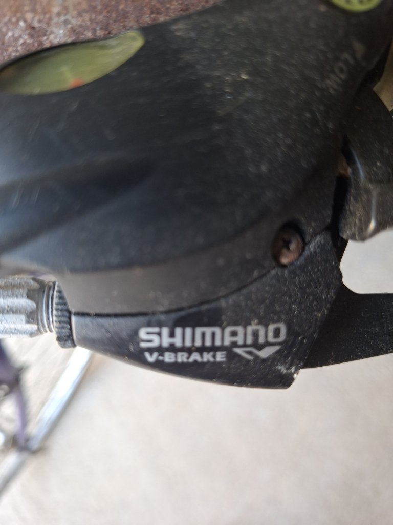 Men's bike