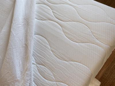 Canopy bed and matching sofa